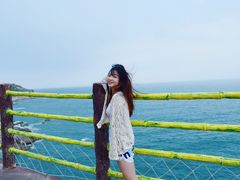 -广东惠东海龟国家级自然保护区
