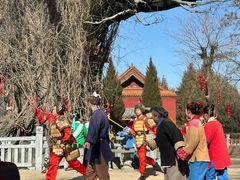 -大槐树寻根祭祖园