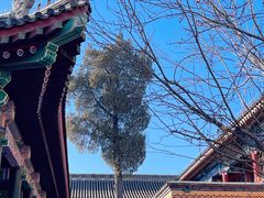 -恭王府博物馆