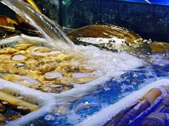 水产区-捞围鲜·港式打边炉(海阳路店)