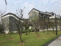 -广州神农草堂中医药博物馆