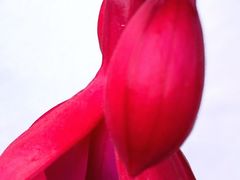 -硗碛藏寨·神木垒景区