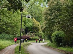 -樱桃山旅游景区