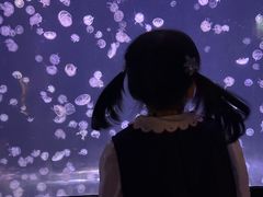-合肥海洋世界