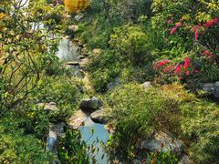 -云溪植物园