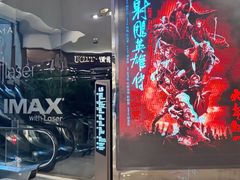-SFC上影影城(港汇永华IMAX激光店)