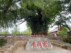 -大槐树寻根祭祖园