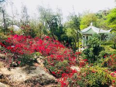 -厦门园林植物园-植物园滴水山房