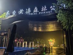 -黄海国家森林公园