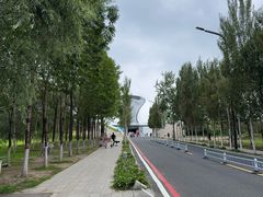 -哈尔滨大剧院