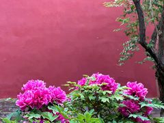 -北京市劳动人民文化宫(太庙)