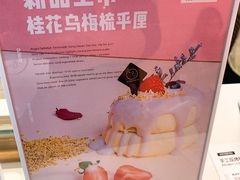 -狐狸和向日葵(北京路店)