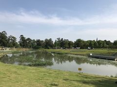 -两河城市森林公园