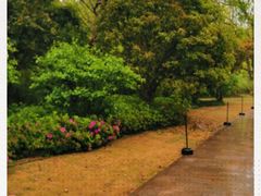 -上海植物园·停车场