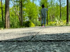 -昆山城市生态森林公园