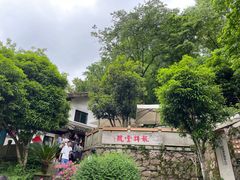 -龙井壹号·茶缘山景宴(龙井村店)
