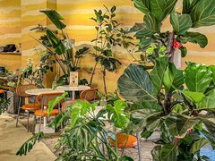 -迦南的早晨蛋糕甜品集合店