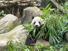 -香港海洋公园