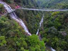 -九龙江国家森林公园