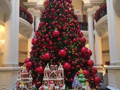 华尔道夫酒店廊吧-LONG BAR 廊吧(外滩华尔道夫酒店)