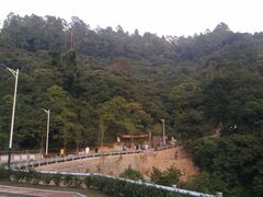 -火炉山森林公园