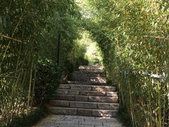 -竹子庵公园