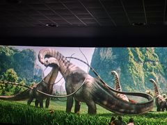 -AMG海上明珠影城(上海环球港RealDCinema店)