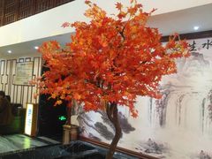 -唐宁宫汤泉汗蒸会所