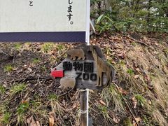 -北海道神宫