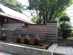 -棕南海水疗会所