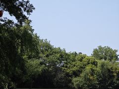 景点-西溪国家湿地公园