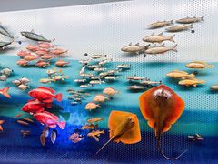 -上海自然博物馆