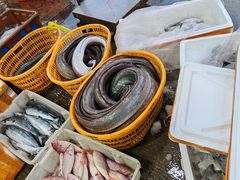 -海峡水产品交易中心(海鲜交易区)