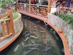 -侠成水上农庄(工业大道店)