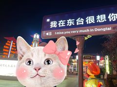 -东台西溪天仙缘景区