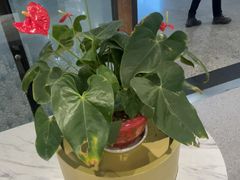 -康师傅私房牛肉面(申虹餐厅店)
