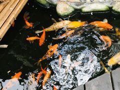 -上海大自然野生昆虫馆(东方明珠·爬宠昆虫探索中心)