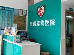 -乐琪宠物医院·犬猫专科·骨外科·急重症