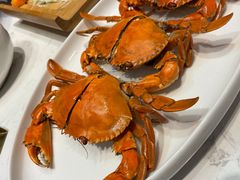 -德米火锅(深圳湾1号旗舰店)