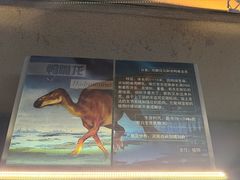 -中国西峡恐龙遗迹园