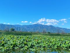 -野鸭湖国家湿地公园