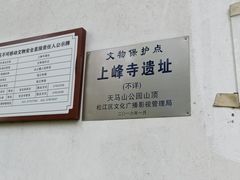 -上海佘山国家森林公园天马山园
