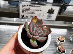 -鹿岛生活(熙地港店)