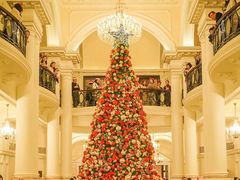 -LONG BAR 廊吧(外滩华尔道夫酒店)