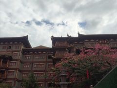 -越秀西湖花市(广州城市广场花卉店)