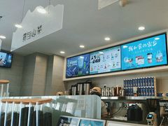 -雾与山茶(大禹城店)
