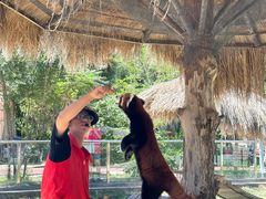 -水上乐园·欢乐世界