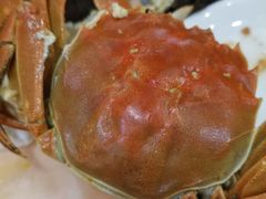 -溱湖八鲜菜馆