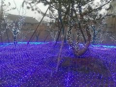 -蜻蜓逐宴全日制西餐厅I古北水镇大酒店