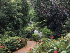 -江门古兜温泉小镇